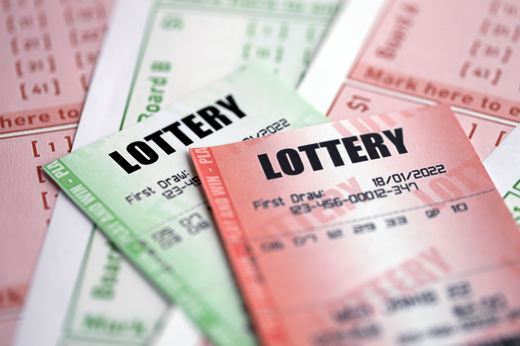 ALT general imagen 5 PLANTSEO